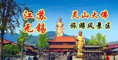 大屌x小屄视频江苏无锡灵山大佛旅游风景区