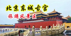 操大屄视频中国北京-东城古宫旅游风景区